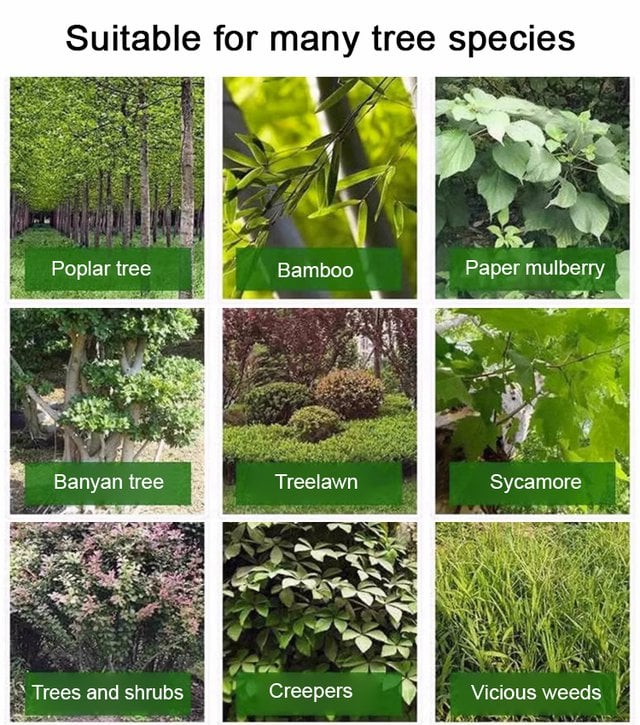 🔥LAST DAY PROMOTION 49% OFF 🔥 - Hexazinone root killing tree remover