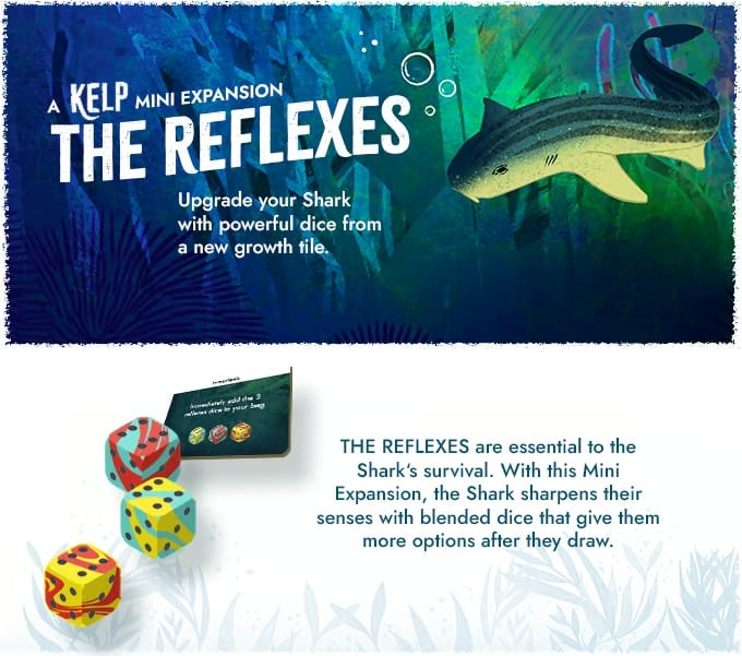 🔥Last 4 hours 57% OFF -KELP Board Games Shark vs Octopus