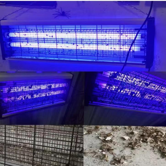 Powerful Electronic Indoor Mosquito Fly Zapper