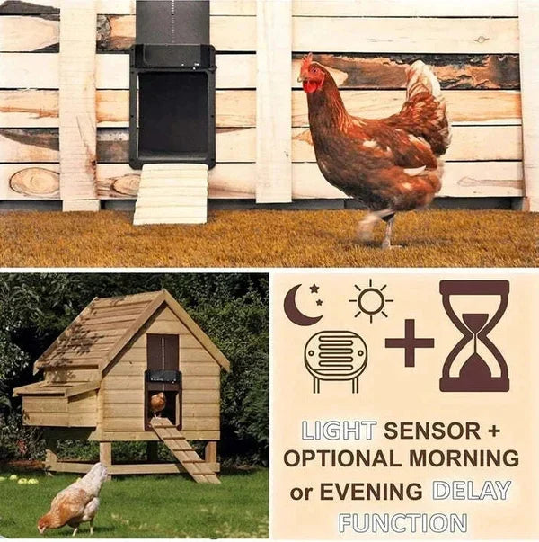 🎉LAST DAY 49% OFF🎉 --Automatic Chicken Coop Door