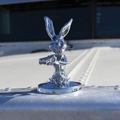 🎁Hood Ornament