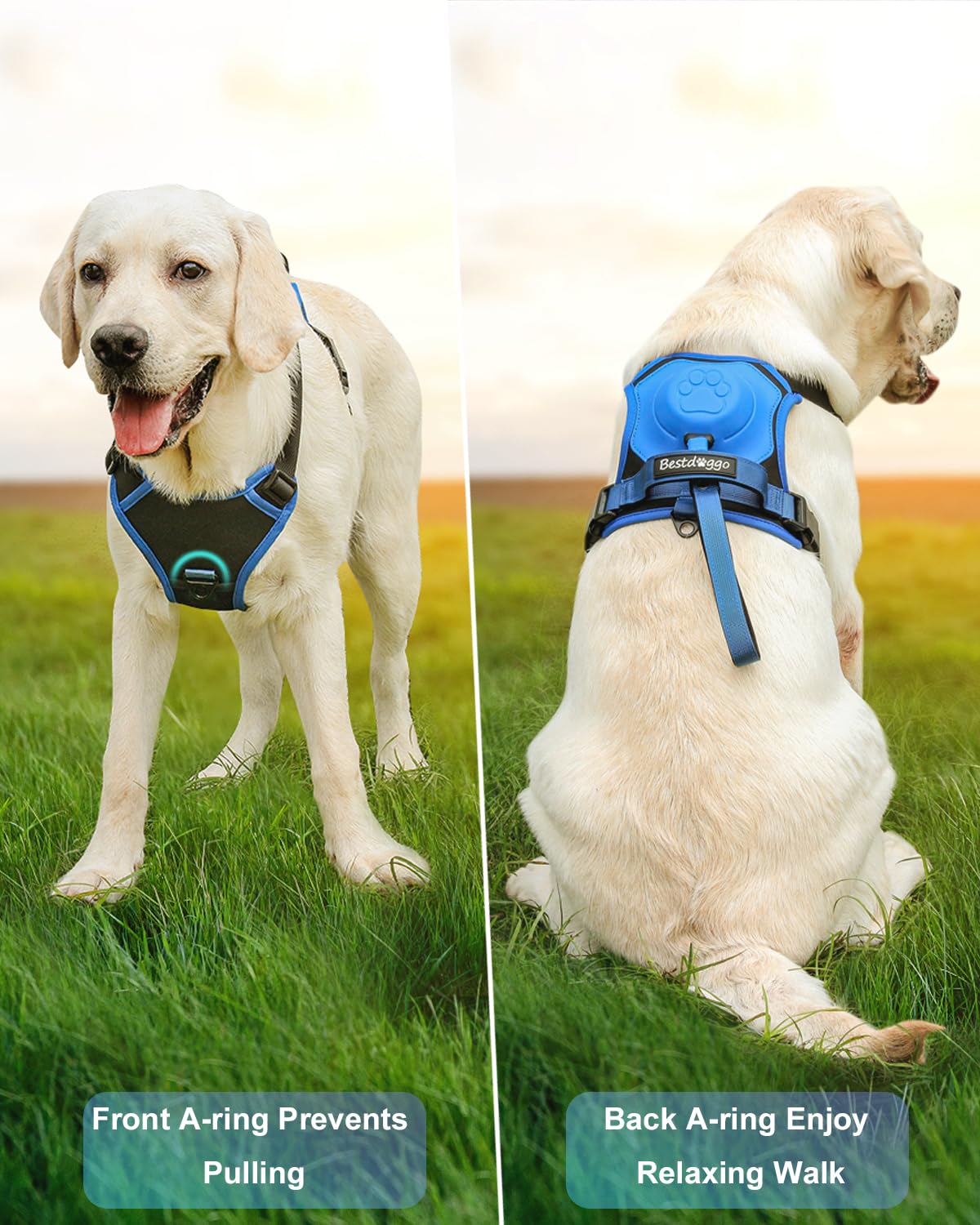 SUMMER HOT SALE - Dog Harness and Retractable Leash Set All-in-One