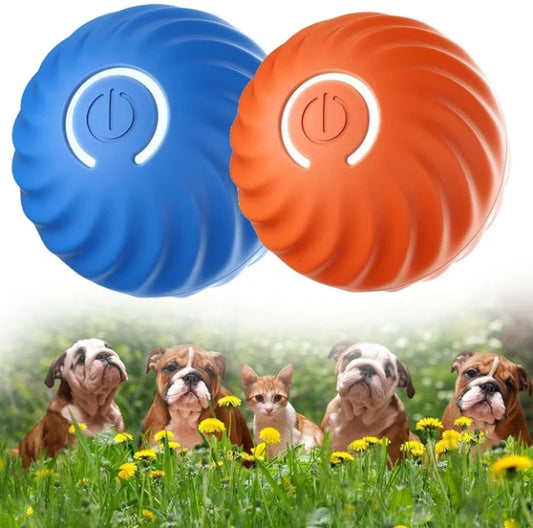 🔥2025 Hot Sale 50% OFF💥-Interactive Dog Toys Dog Ball