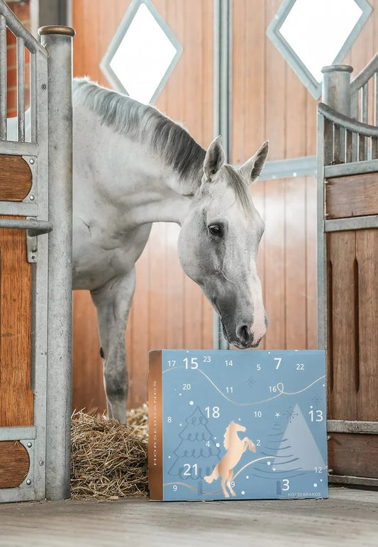 💥LAST DAY SALE 50% OFF💥- 🐎HORSEBRANDS Advent Calendar 2024