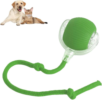 🏮💥2025 New Year Pre-sale 49% OFF--🔥Smart Interactive Pet Toy Ball🐾