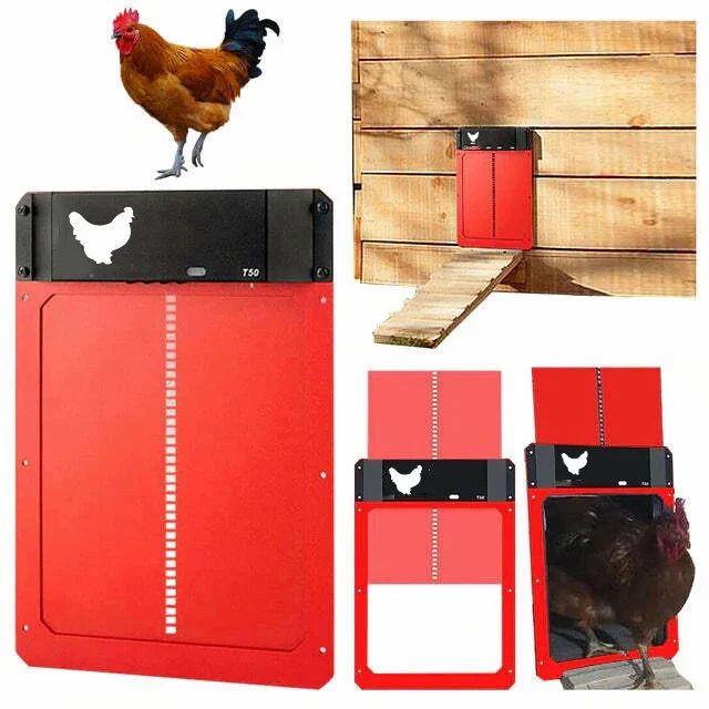 🎉LAST DAY 49% OFF🎉 --Automatic Chicken Coop Door