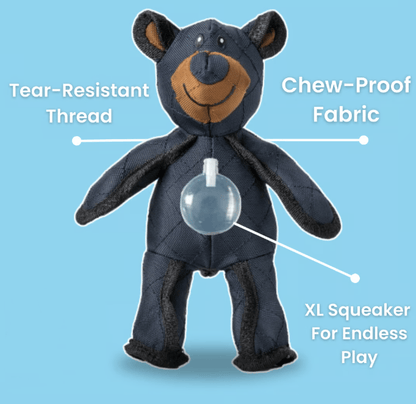 2025 New Bear For Chewers🐾