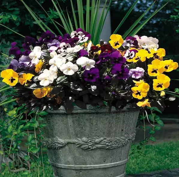 💐Outdoor Artificial Pansy Flowers