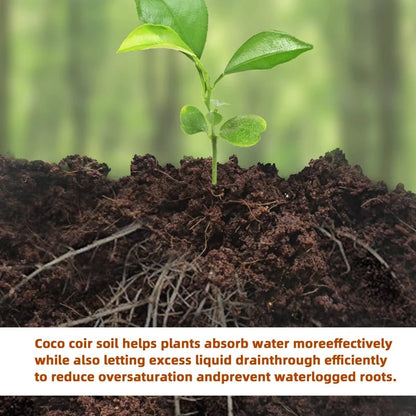 🔥Seasonal promotion- 49% OFF🔥-Premium Organic Coconut Coir Bricks for Plants（Collected from Pacific island countries）🥥