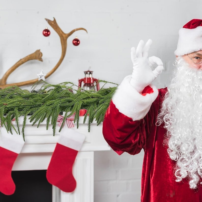 🔥LAST DAY 50% OFF💥Natural Christmas Greenery - Norfolk Pine Garland🌲