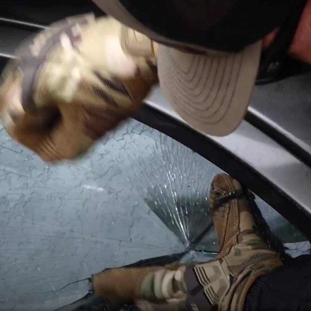 🔥2025 Hot Sale🔥EDC Survival Bracelet