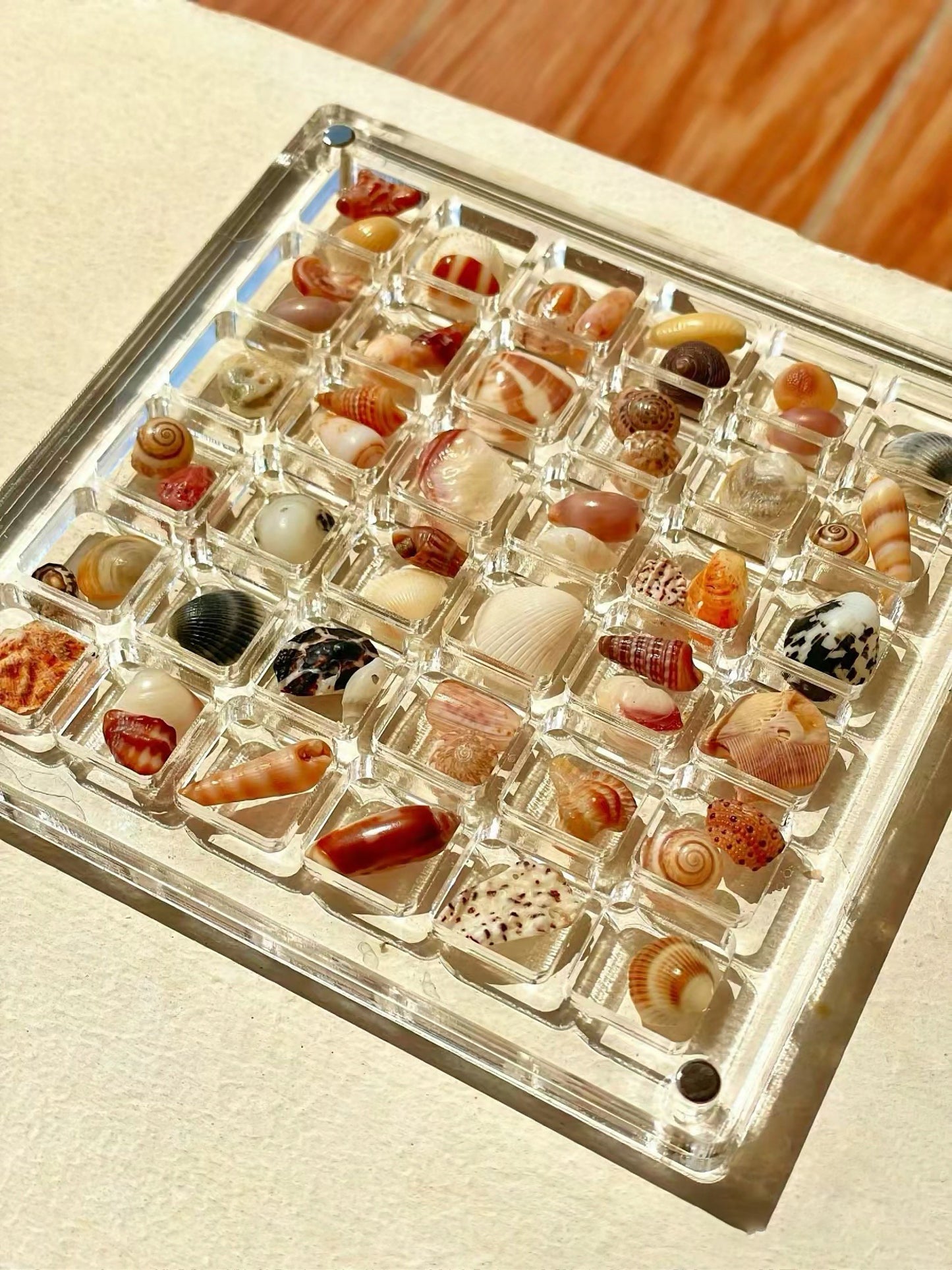 🌊Acrylic Magnetic Seashell Nail Diamond Display Box