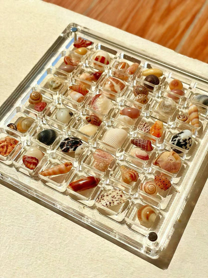 🌊Acrylic Magnetic Seashell Nail Diamond Display Box
