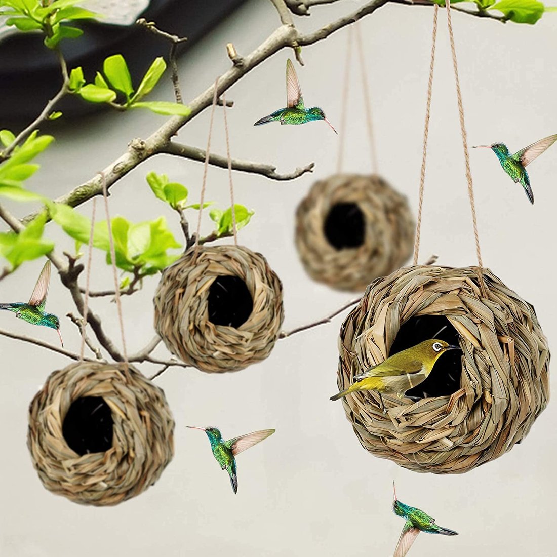 💲ONE DAY 49% OFF-🐦Hummingbird Nest House