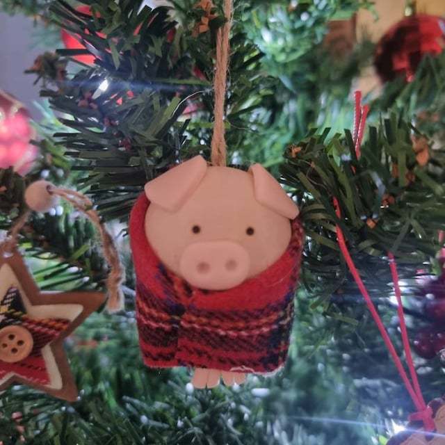 🐷Pigs in Blankets Christmas Gift