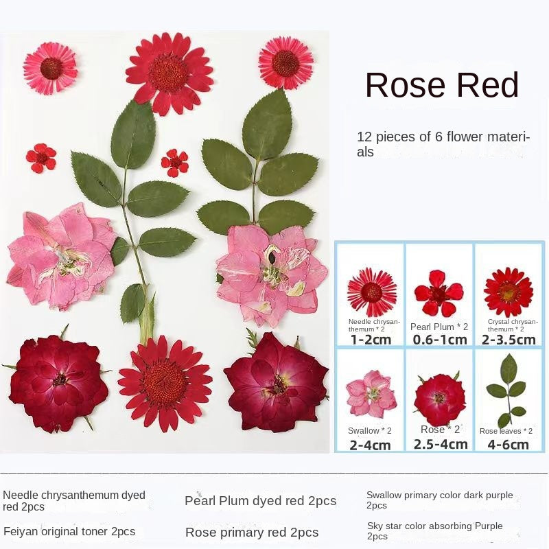 Transparent Dried Flower Bookmarks