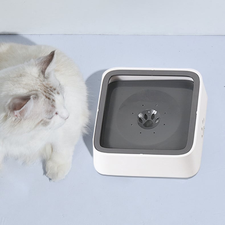 🔥Summer Hot Sale Promotion-49% OFF🐾-No-Spill Pet Water Bowl