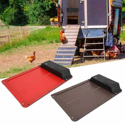 🎉LAST DAY 49% OFF🎉 --Automatic Chicken Coop Door