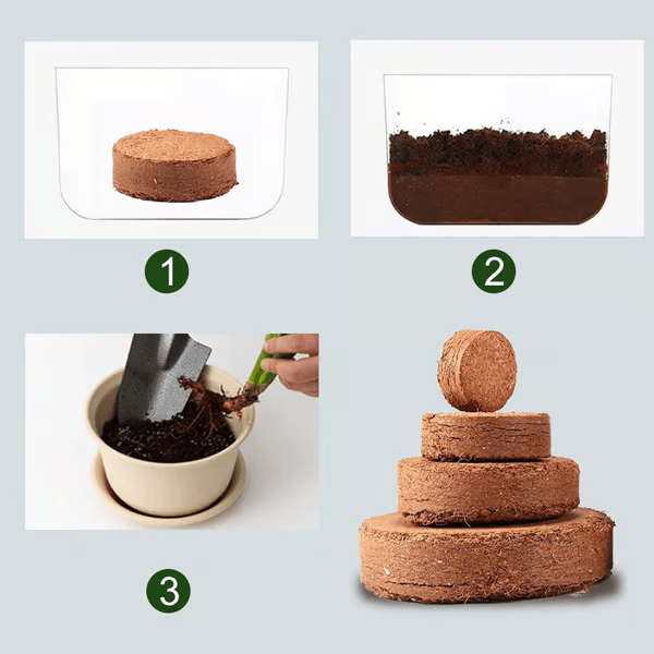 🔥2025 New Year Big Sale⏰ - ✨Organic Coconut Coir for Plants🥥🌱