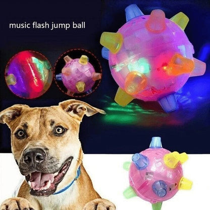 🔥Jumping activation ball for small dogs and cats