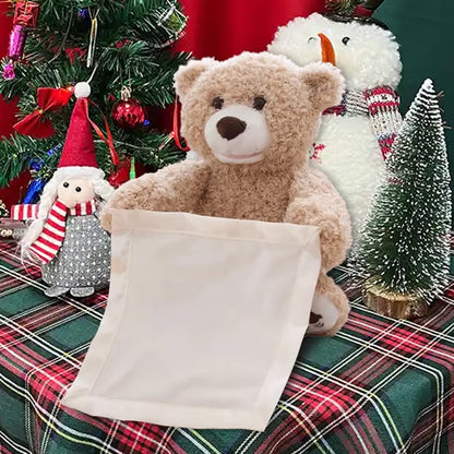 🎄🎁Christmas sales 60% OFF-🧸Peek-A-Boo Teddy Bear Plush
