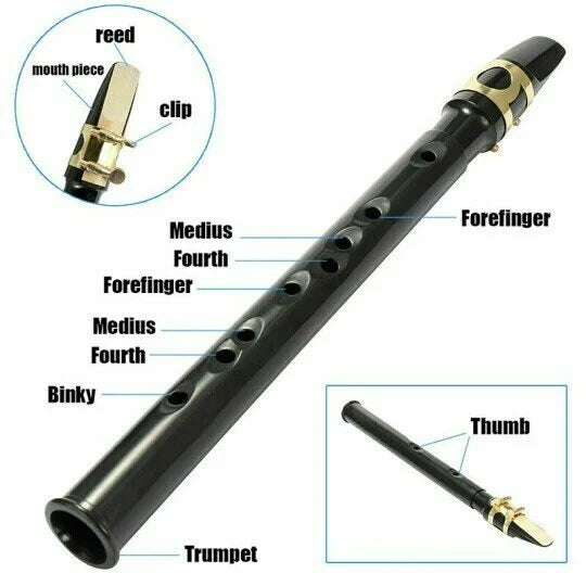 🎶Key of C Two Octave Range Pocket Travel Saxphone