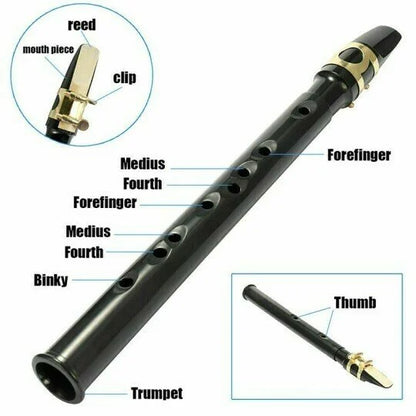 🎶Key of C Two Octave Range Pocket Travel Saxphone