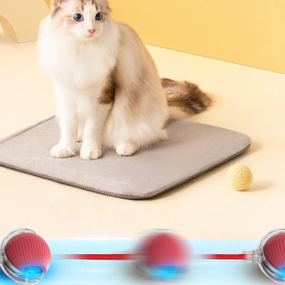 Smart Automatic Rolling Pet Ball