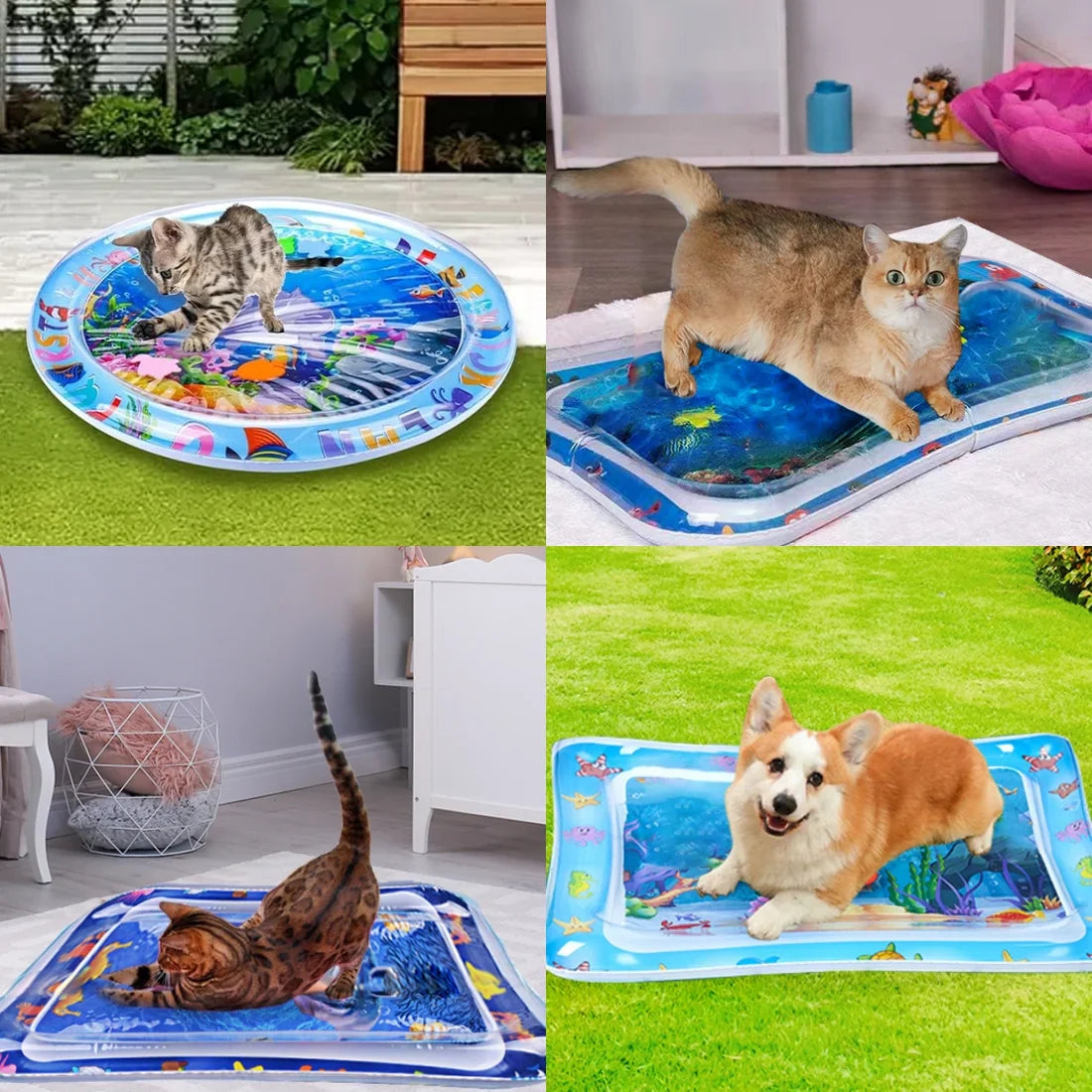 🔥😻Pet Water Sensory Mat