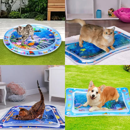 🔥😻Pet Water Sensory Mat