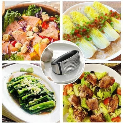 304 Stainless Steel Ring Garlic Press