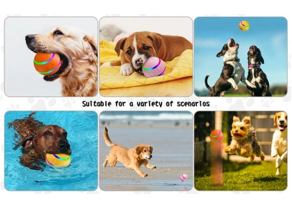 🔥2025 Hot Sale 50% OFF💥-Interactive Dog Toys Dog Ball