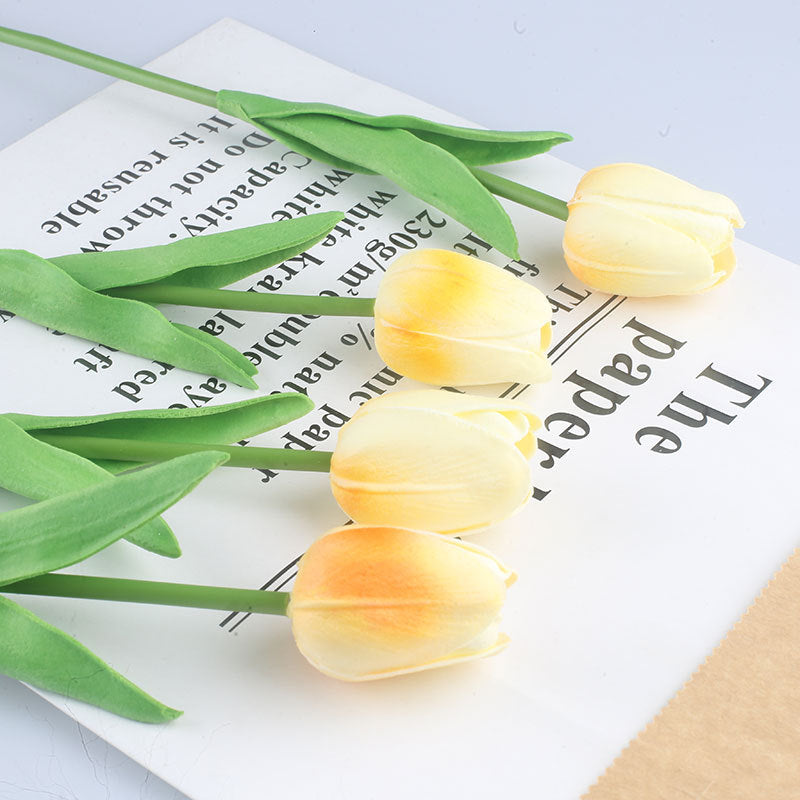 🔥HOT SALE -49%OFF 💡Spiral Ikebana Stem Holder💐