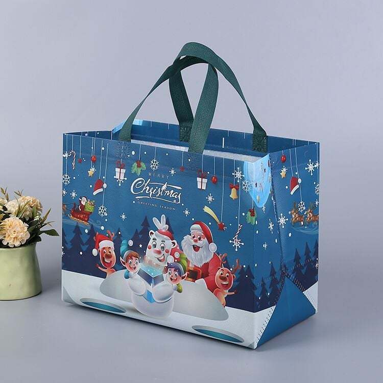 2025 Christmas Gift Bags