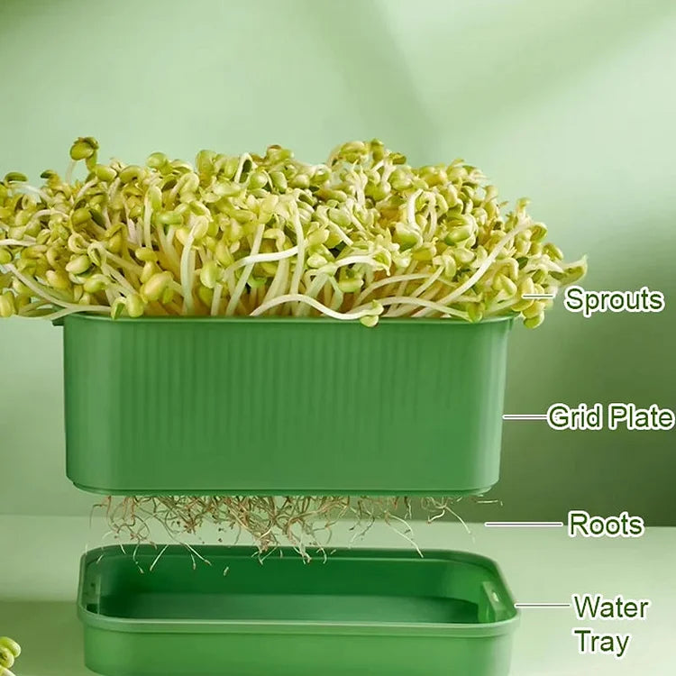 Stackable Bean Sprout Growing Box