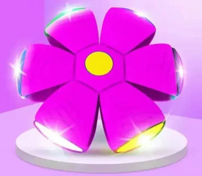 💥The Doggy Disc Ball💞