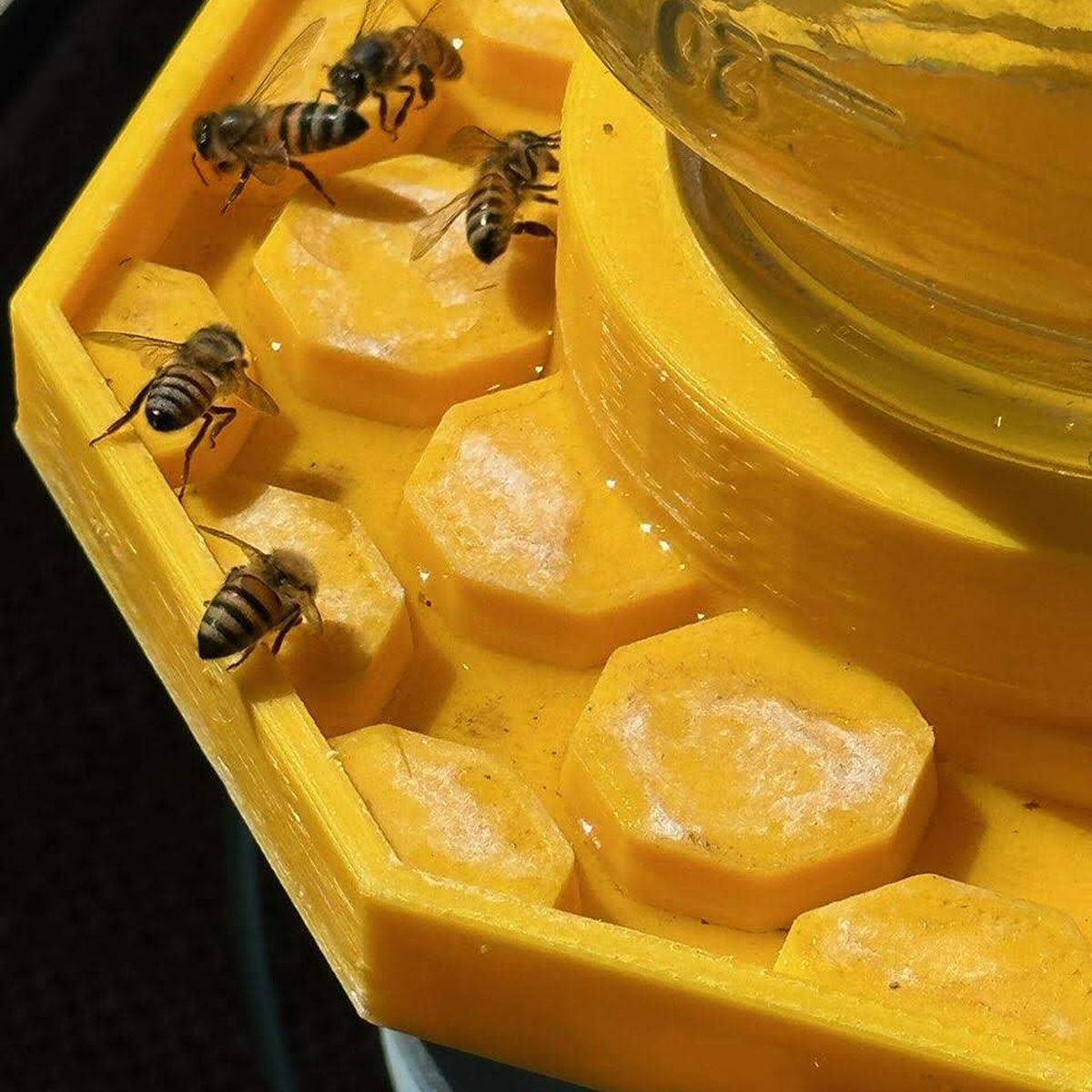 🔥Hot Sale 49% OFF - 🐝💦Bee Watering Dish (3D Printed)