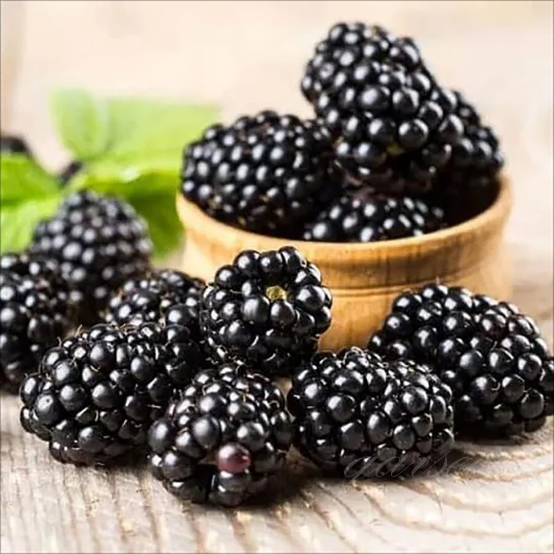 🔥LAST DAY PROMOTION 49% OFF - 🔥Sweet Giant Blackberry Seeds