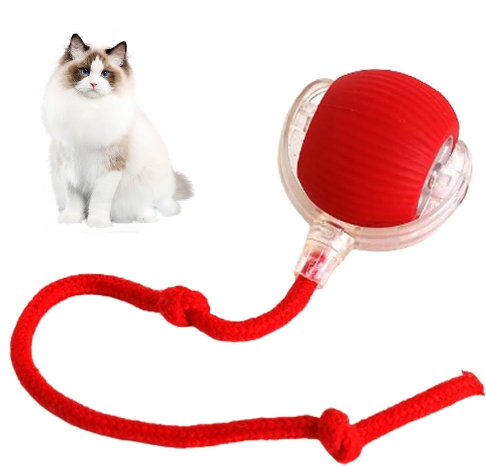 🏮💥2025 New Year Pre-sale 49% OFF--🔥Smart Interactive Pet Toy Ball🐾