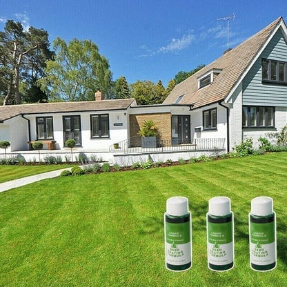 🔥Last Day 49% OFF🔥GreenRevive HydroSeeding Lawn Solution