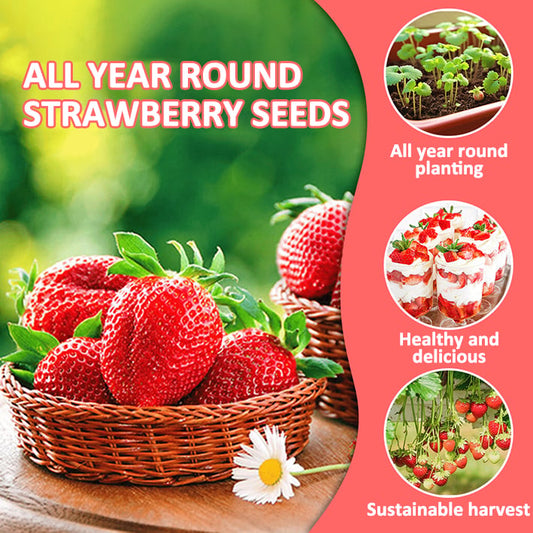 🔥Hot Sale - 49% Discount🔥All Season Strawberry Seeds🍓