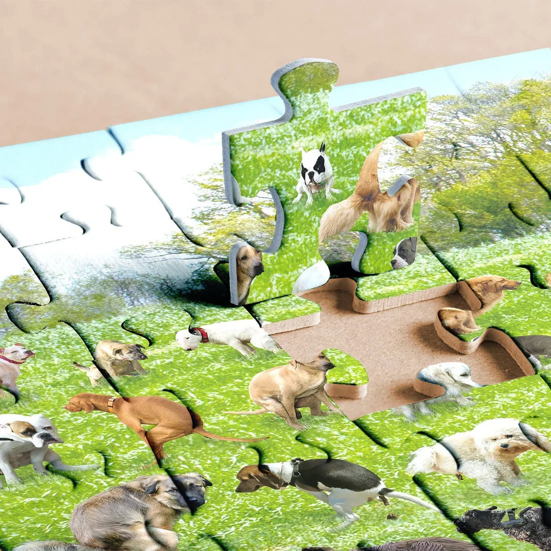 🐶🐾Pooping Dog Jigsaw Puzzle 1000 Piece
