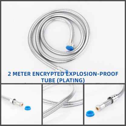 Stainless Steel Shower Hose