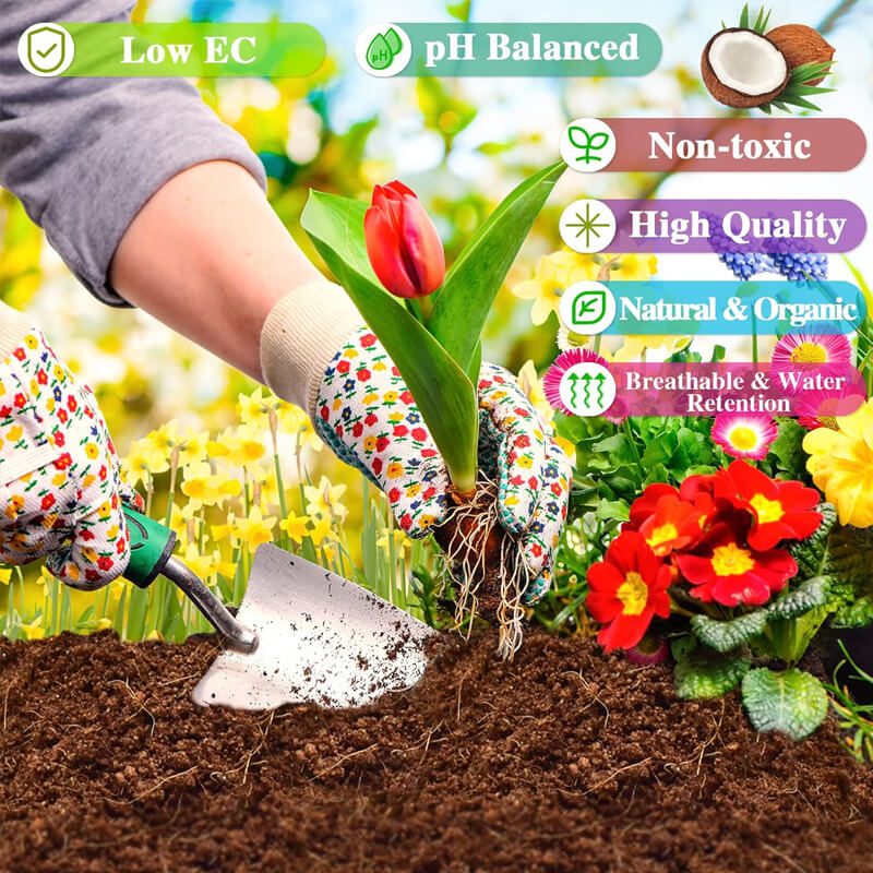 Premium Organic Coconut Coir Bricks