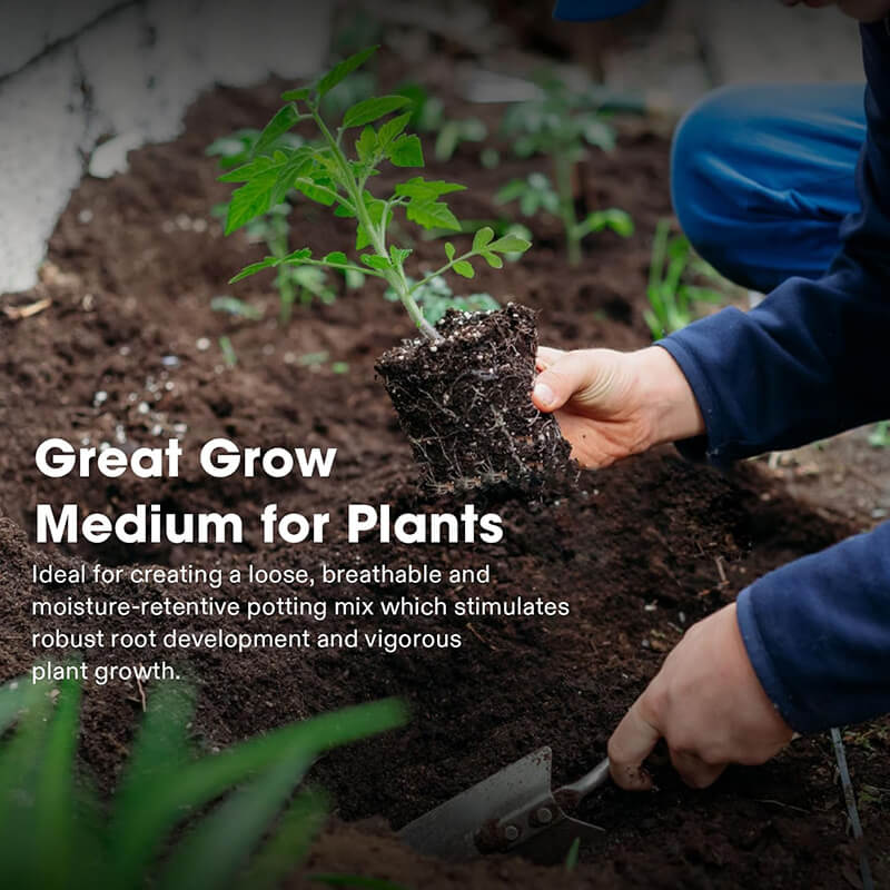 Premium Organic Coconut Coir Bricks