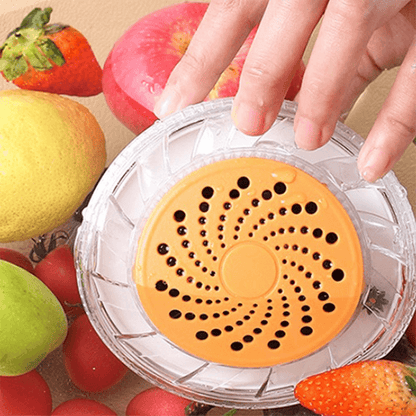 Rechargeable Fruit & Vegetable Purifier