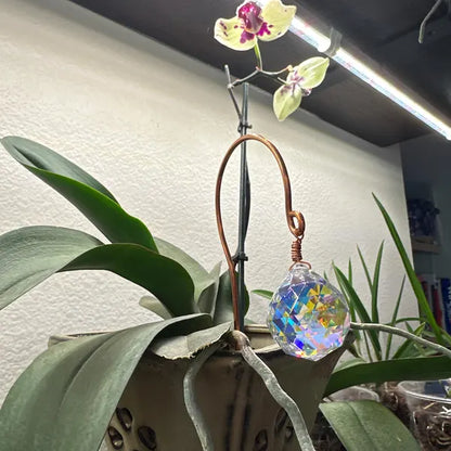 🌱Plant Stake Sun Catchers