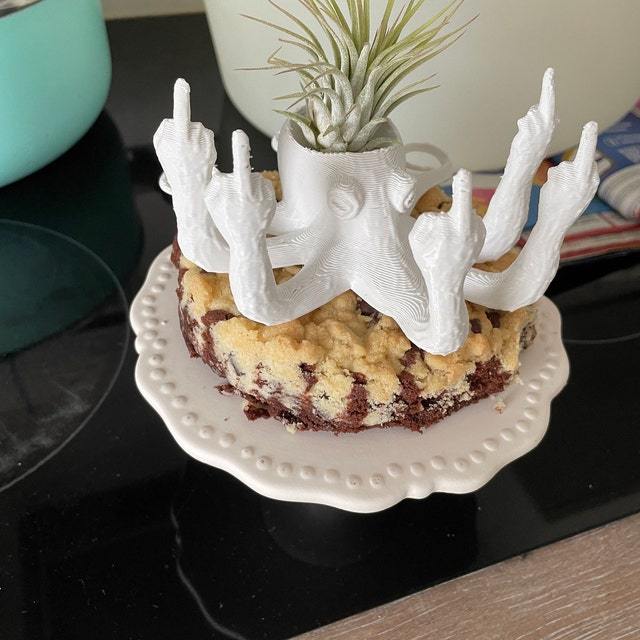 Middle Finger Octopus Planter Funny Fucktopus Air Plant Pot