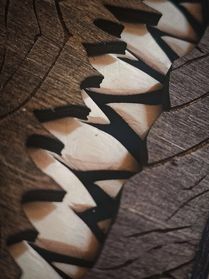 👹 Monster Book Mimic Tabletop Storage Box 📚