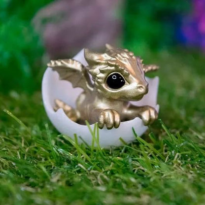 🐲Newborn Dragon In Egg